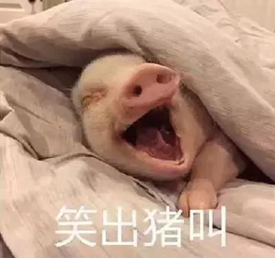 微信图片_20180907165545.jpg
